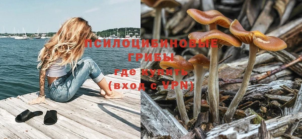 амф Краснотурьинск