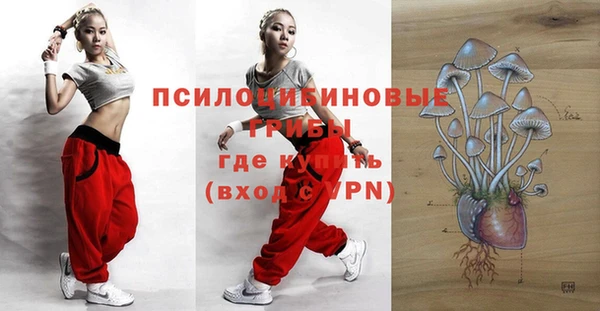 кокаин Краснослободск