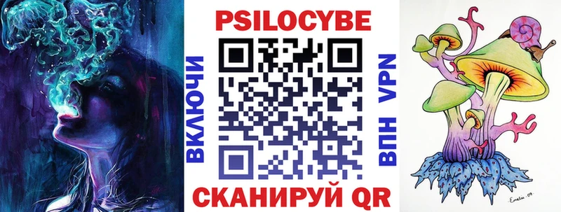 Купить где  Алексеевка  Галлюциногенные грибы Psilocybe 